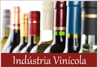 Vitivinicultura